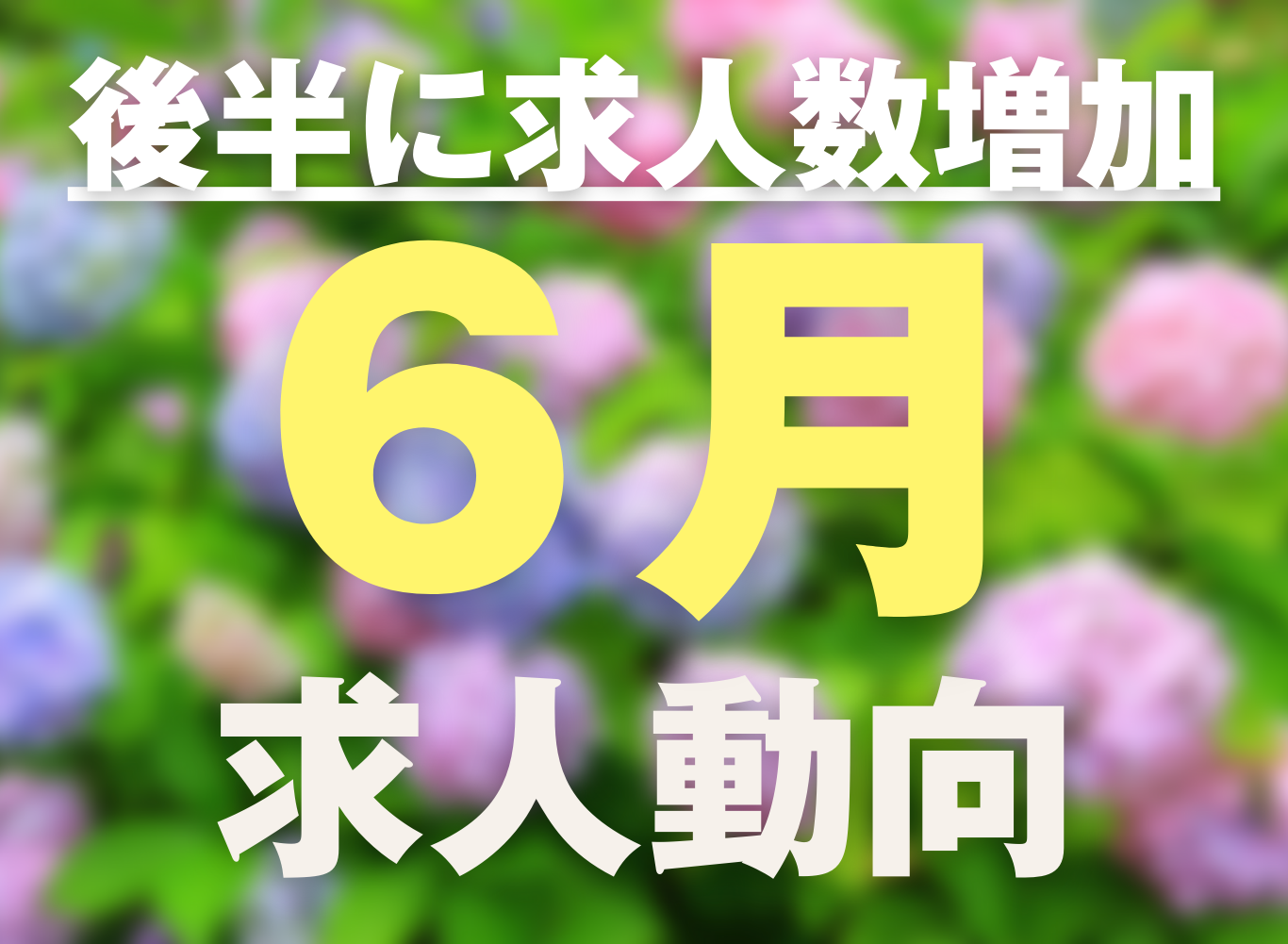 下半期に向けて求人が増加！6月の求人動向