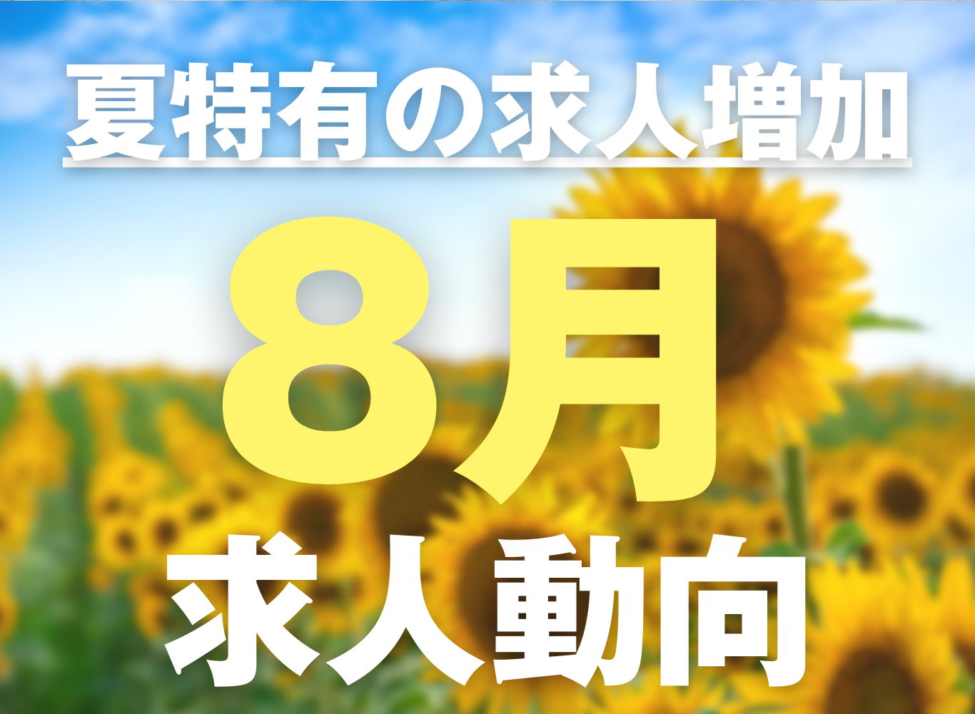 夏特有の求人増加！8月の求人動向★